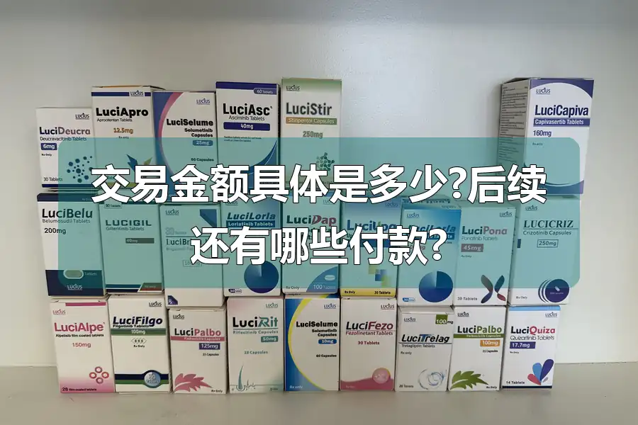 交易金额具体是多少?后续还有哪些付款?